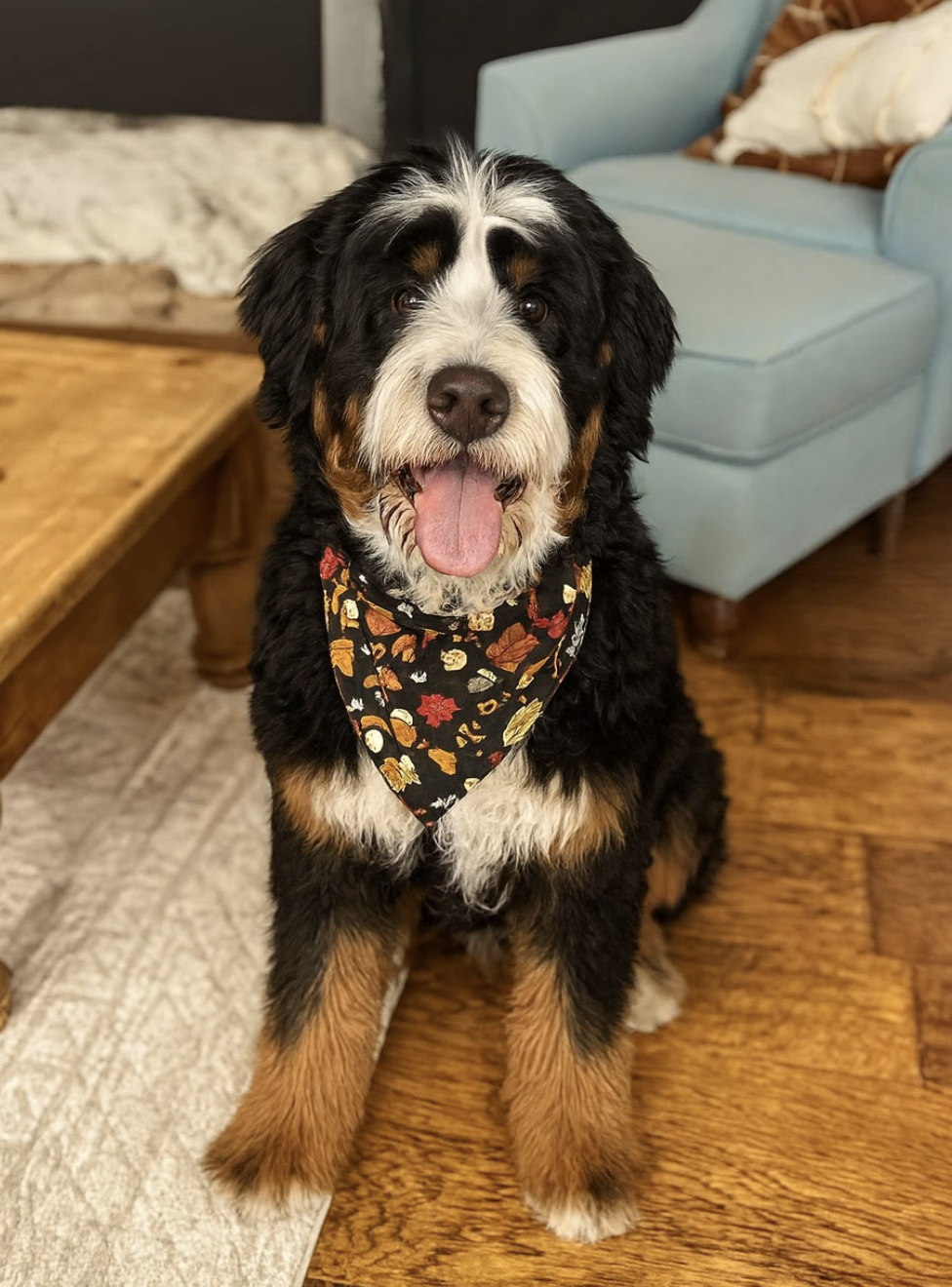 Kodiak, one of our moms
