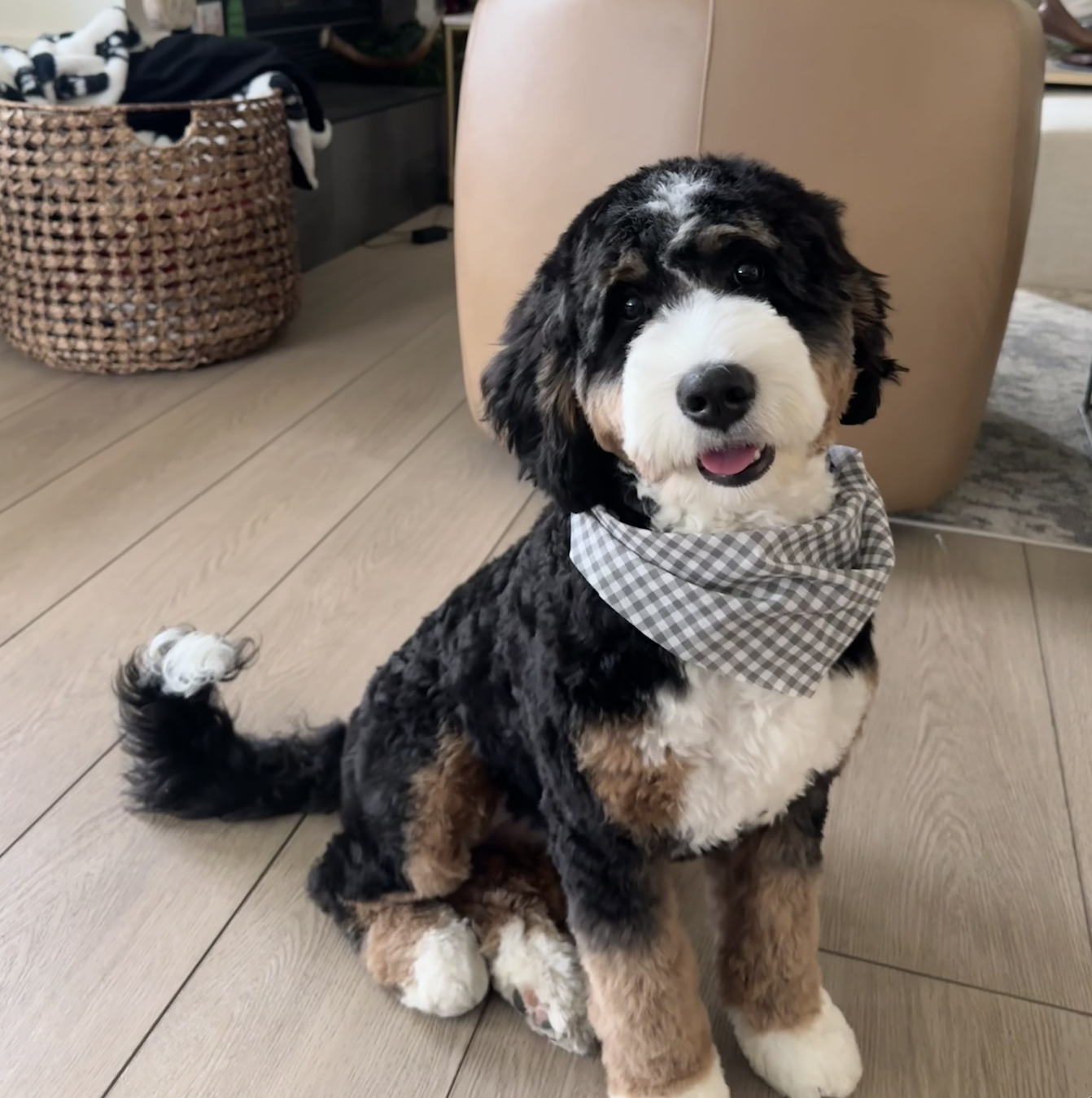 Lola, one of our moms
