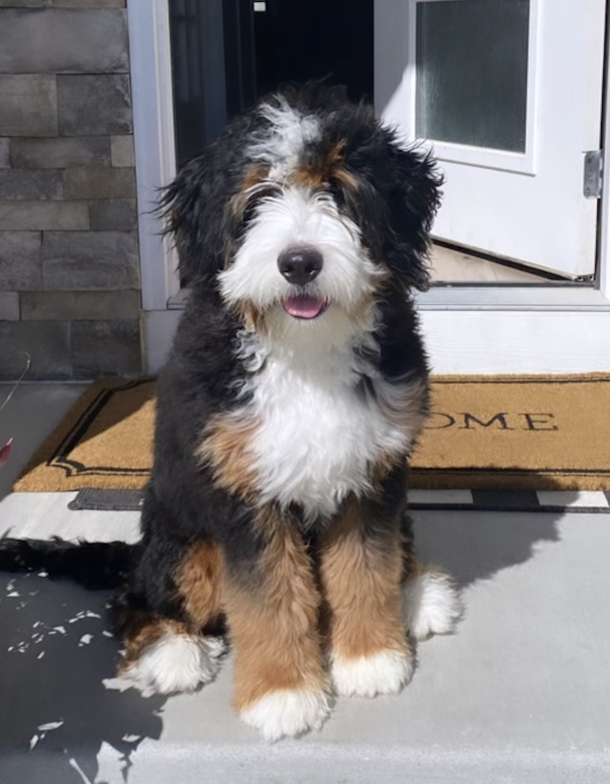 Sadie, one of our moms