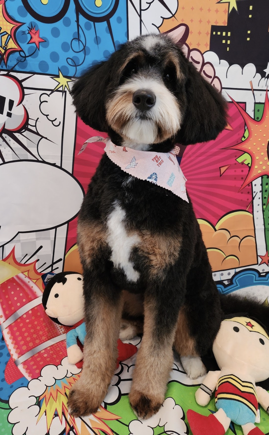 Mazie Moo, one of our moms