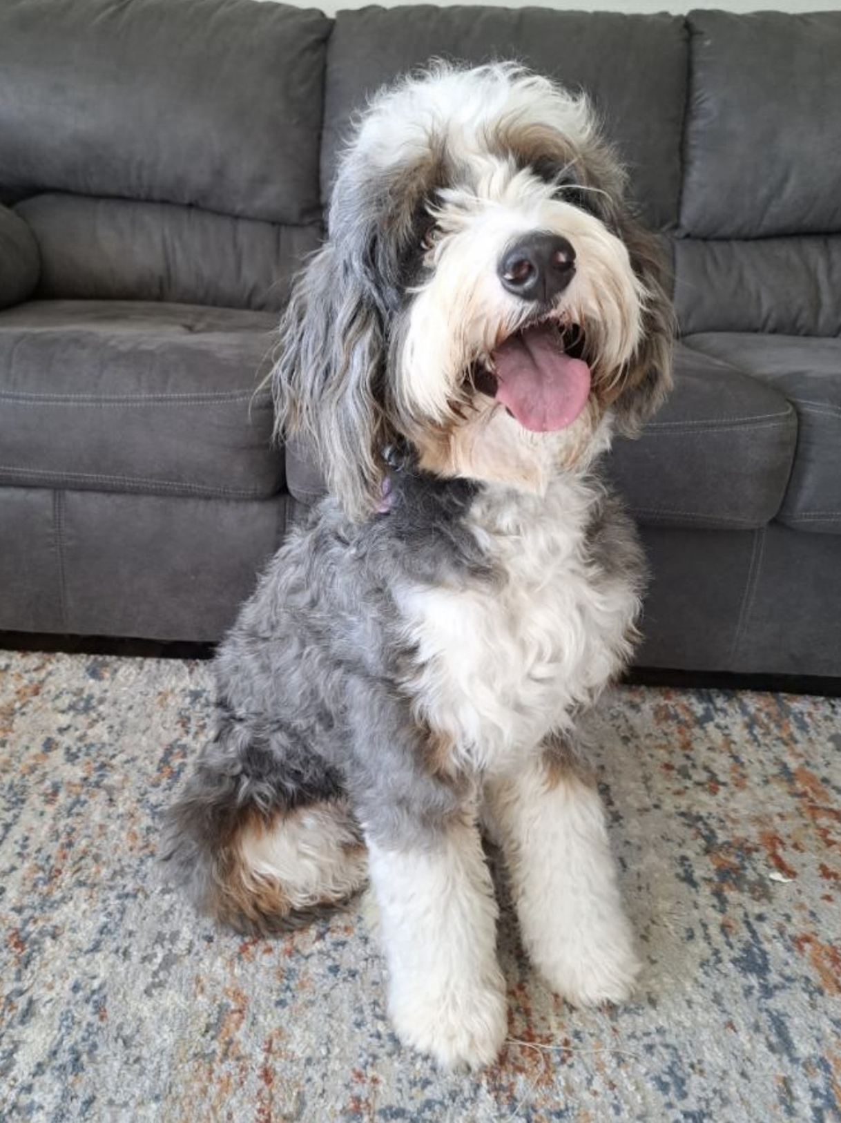 Birdie, one of our moms