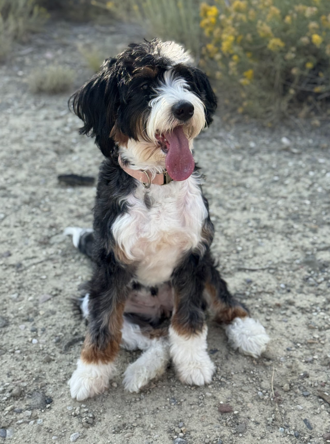 Basil, one of our moms