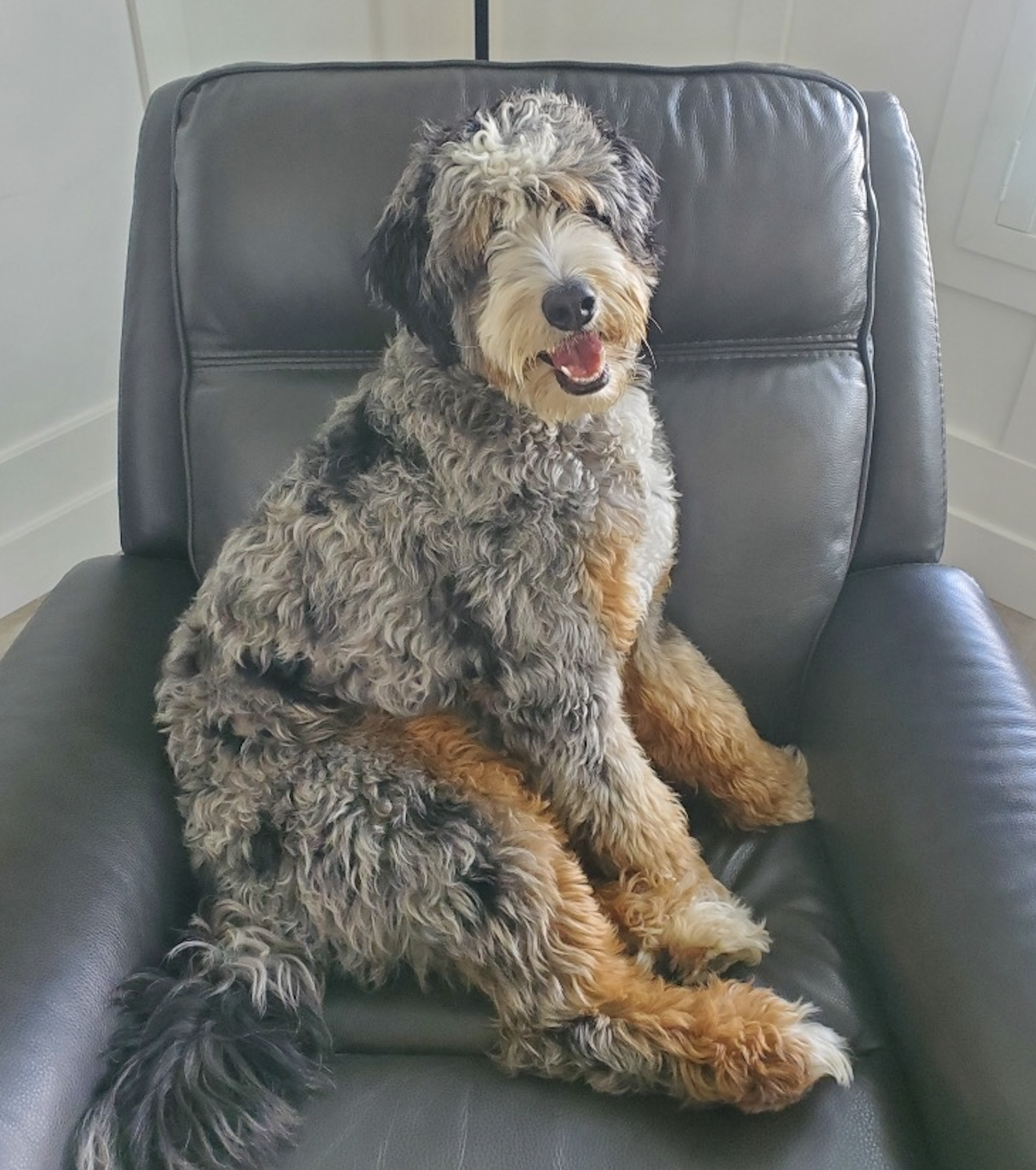 Bailey, one of our moms