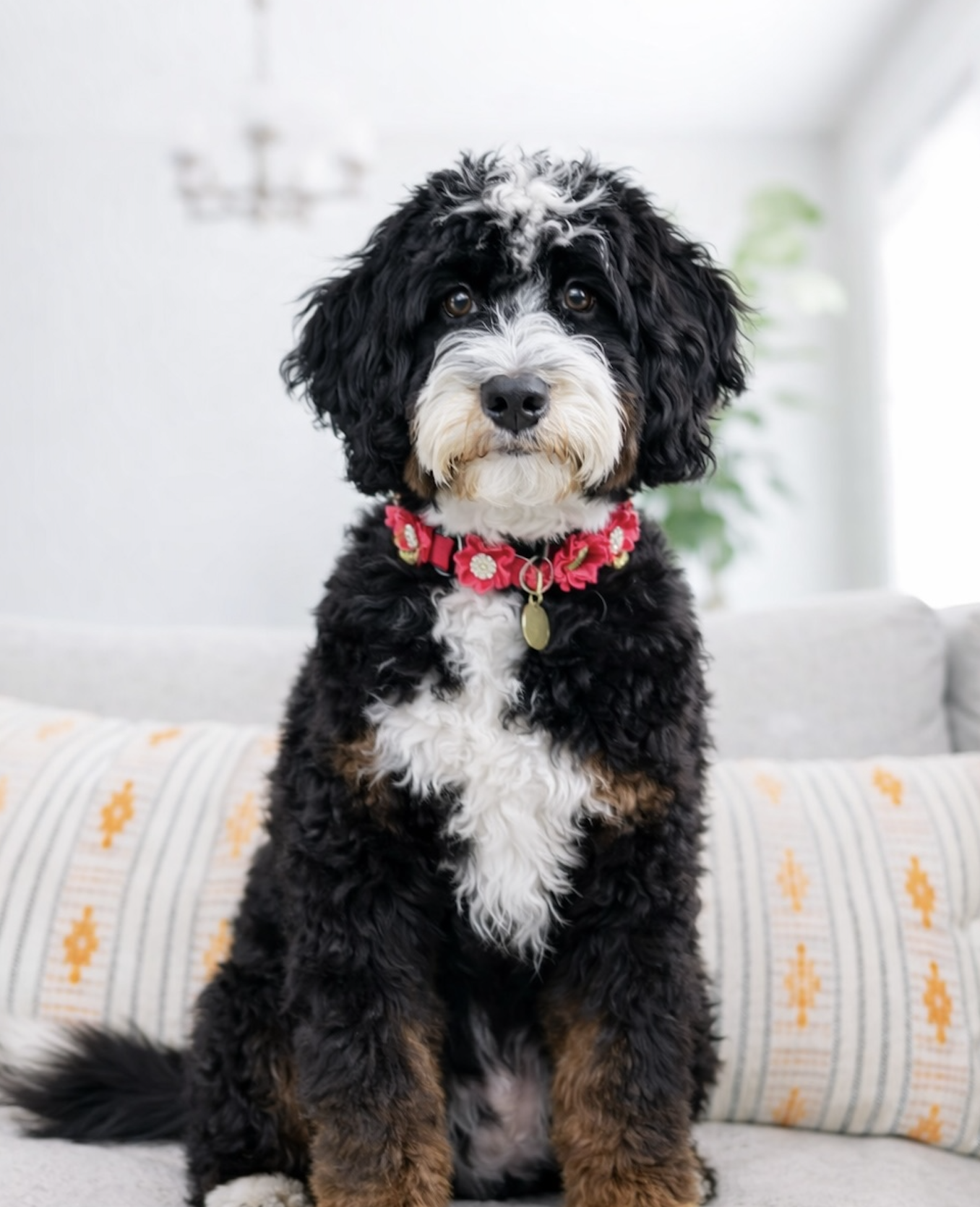 Bailey, one of our moms