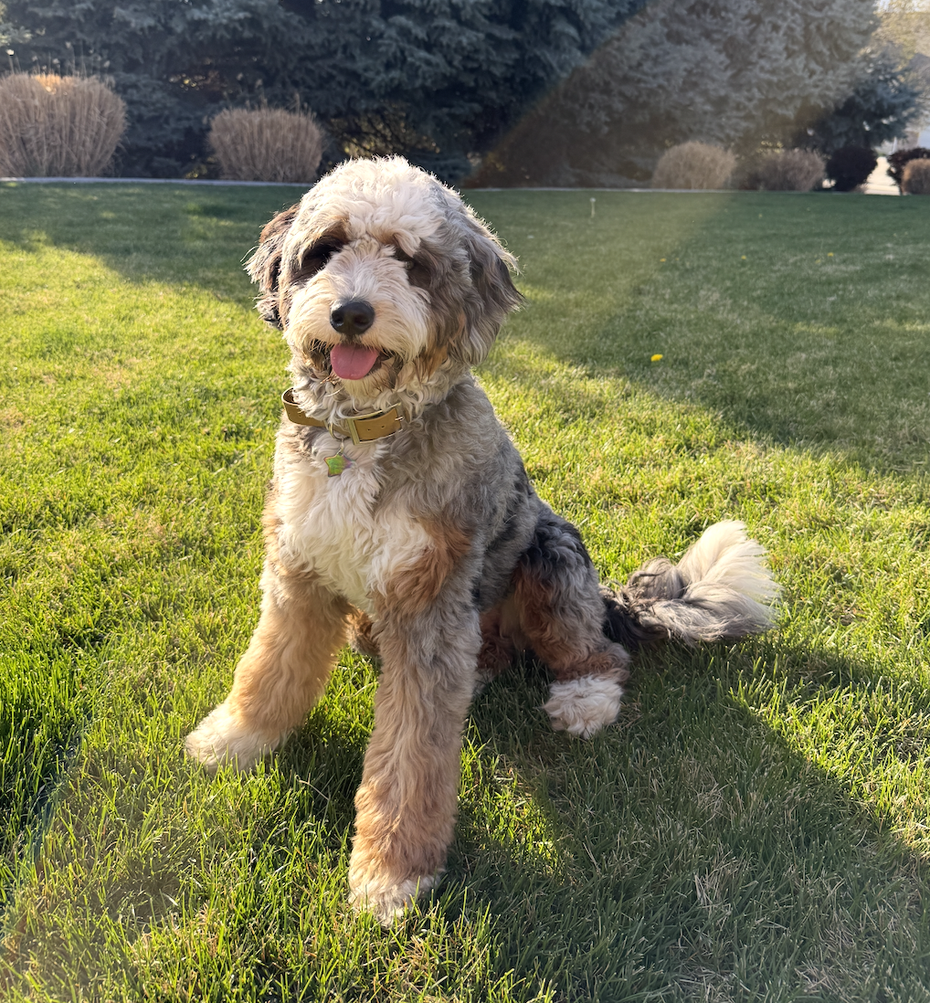 Lucy, one of our moms