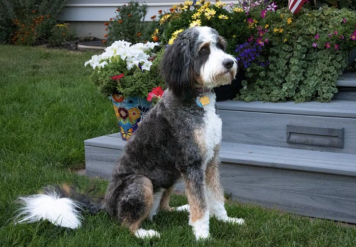 Daisy, one of our moms